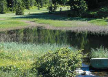 Naturpark Kaunergrat Weiher